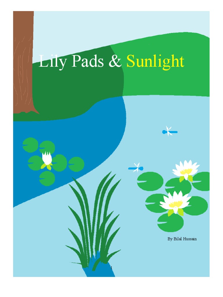 Lily Pads And Sunlight Photosynthesis Physical Sciences