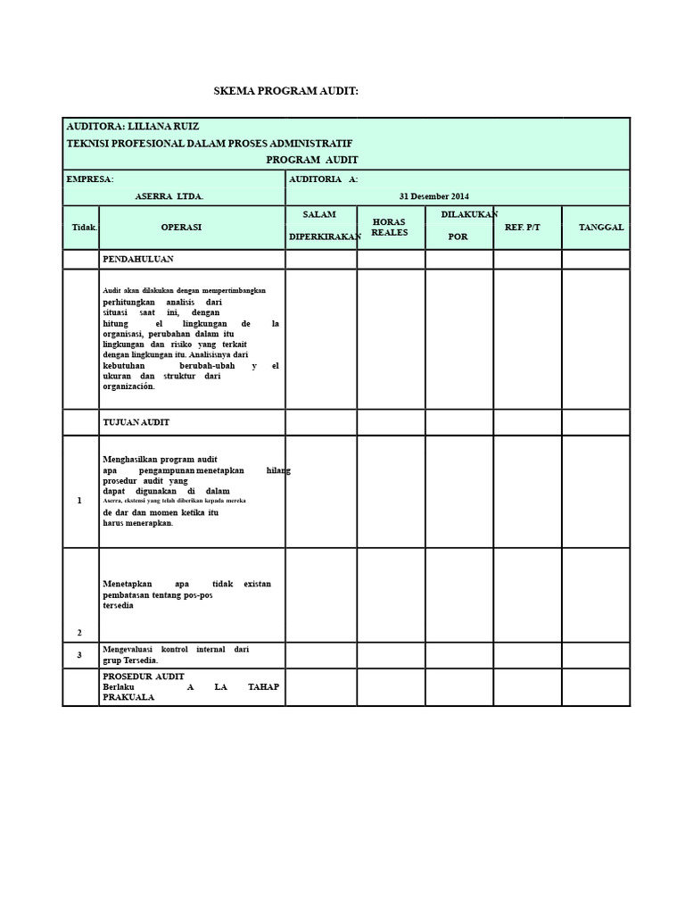 Skema Program Audit | PDF
