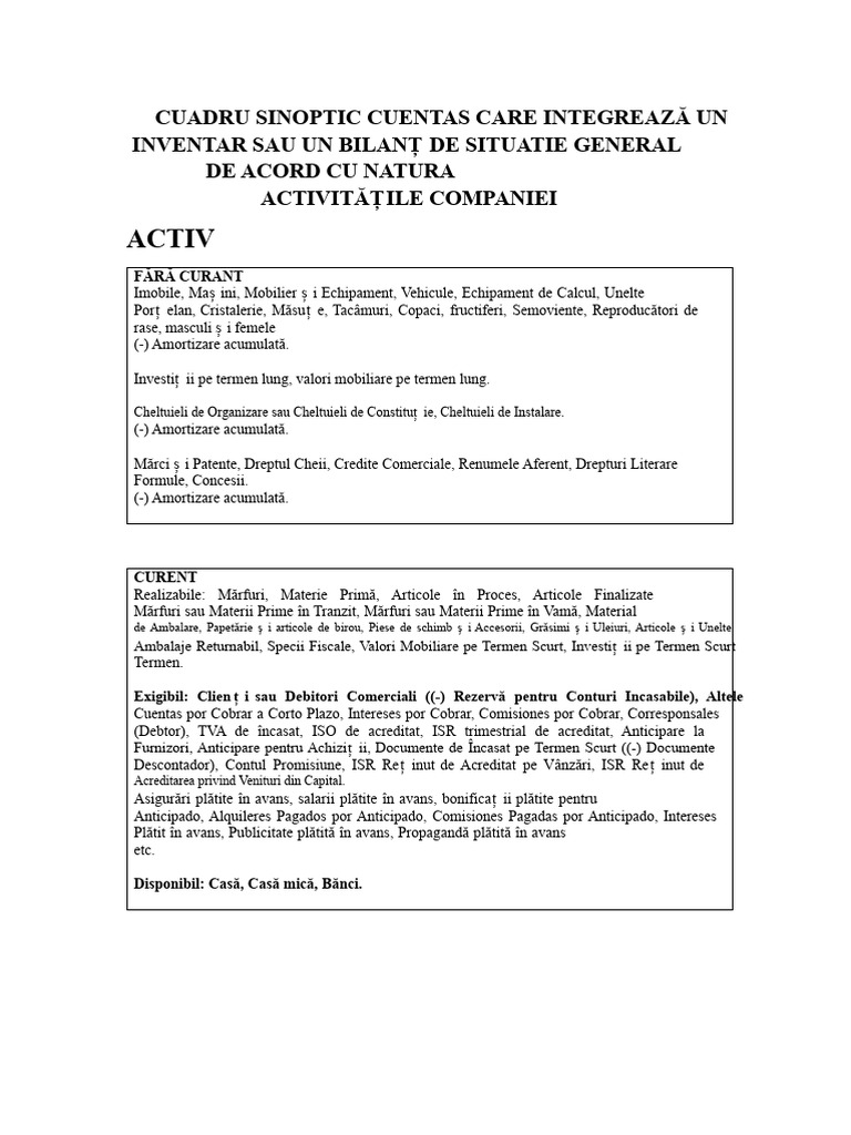 Clasificarea Conturilor Inventar | PDF