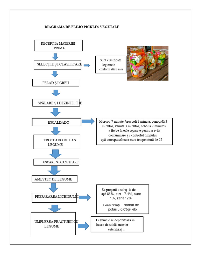 Diagrama de Flujo Pickles Vegetale | PDF
