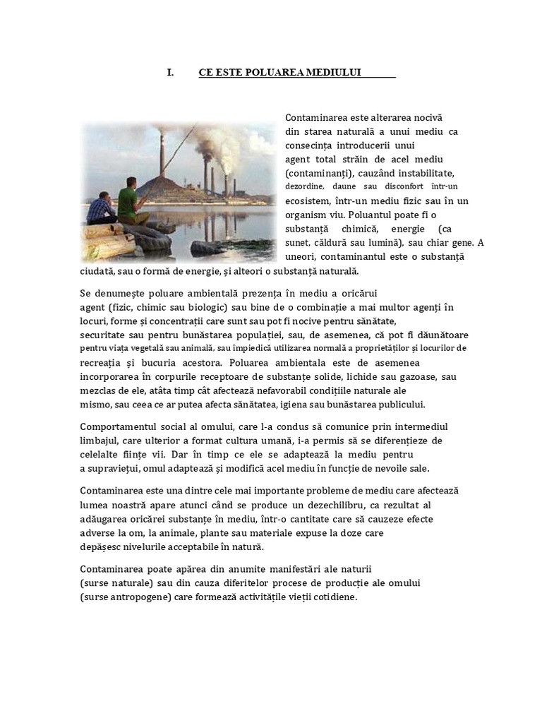 Raport de Poluare A Mediului | PDF