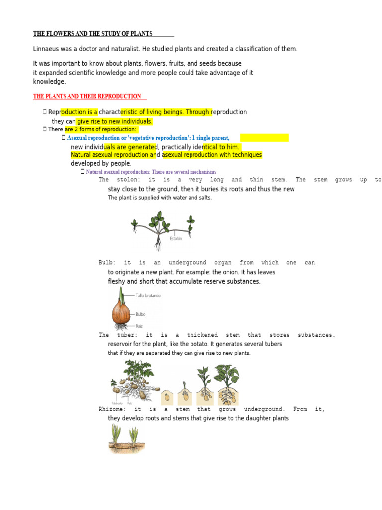 The Flowers and The Study of Plants | PDF | Seed | Fruit