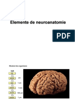 44453673-Elemente-de-Neuroanatomie