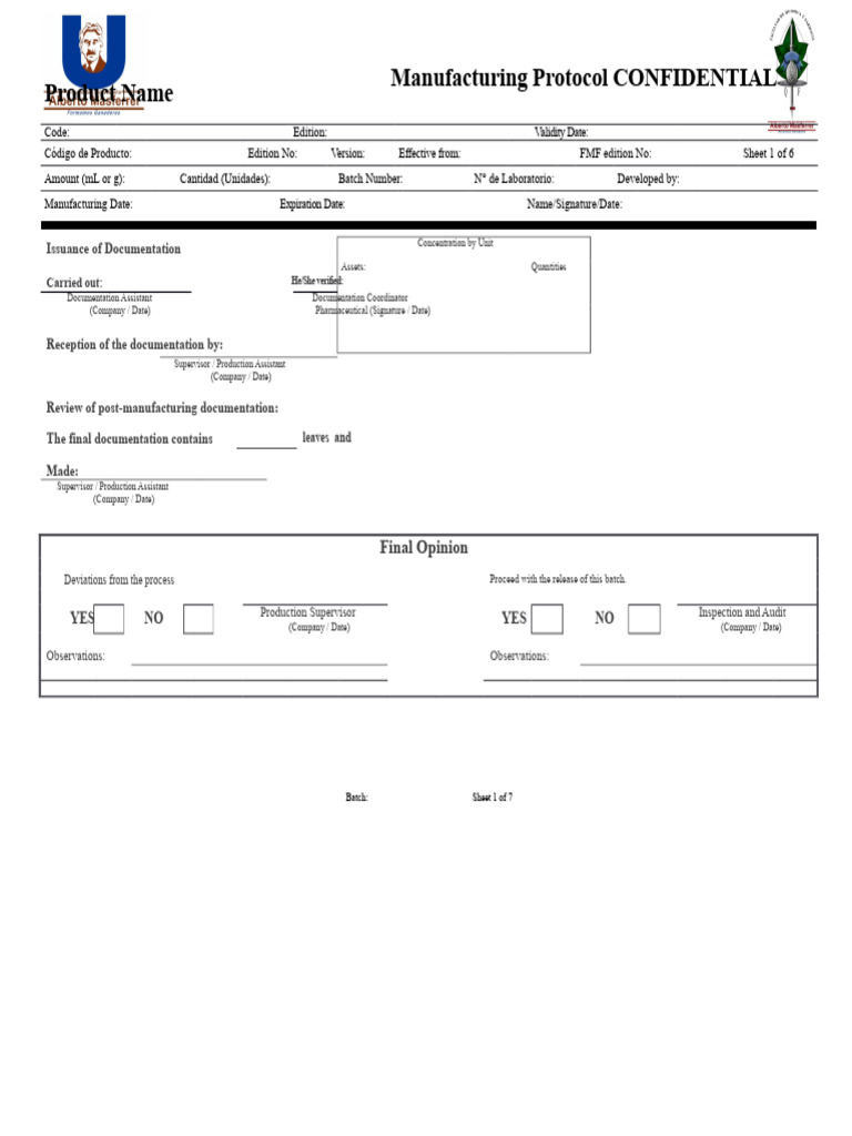 Manufacturing Protocol Format | PDF | Viscosity