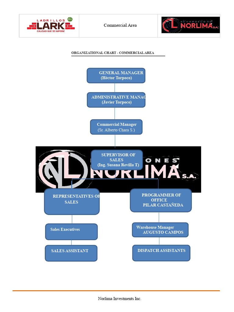 Commercial Area Organizational Chart | PDF | Sales | Marketing