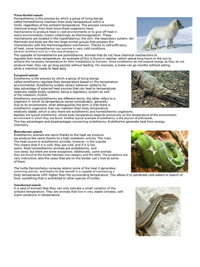 Understanding Homeothermic Animals | PDF | Thermoregulation | Transport ...