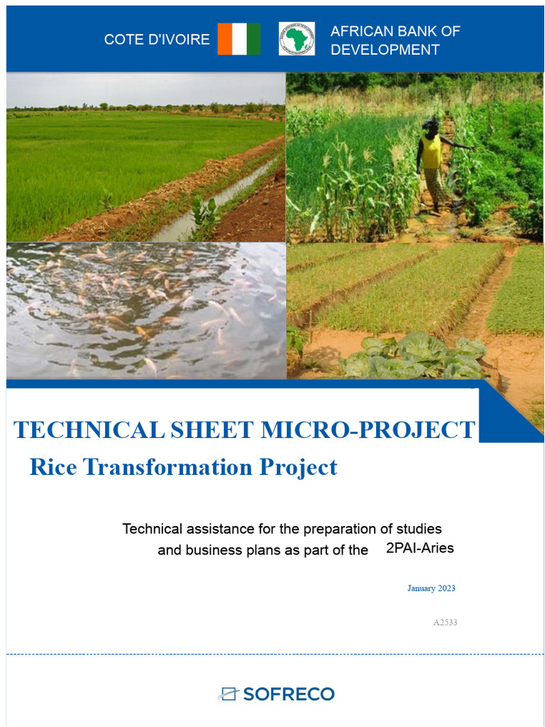 F1 Rice Transformation Project | PDF | Economies