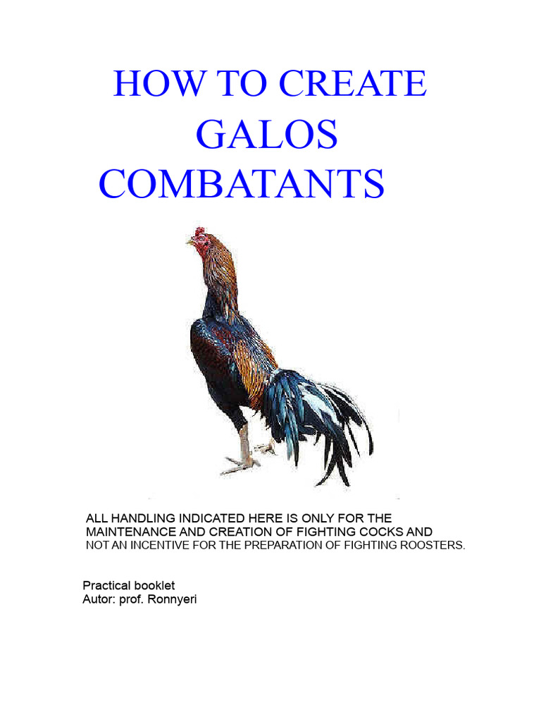 Guide to Raising Fighting Roosters | PDF | Plant Breeding | Genetics