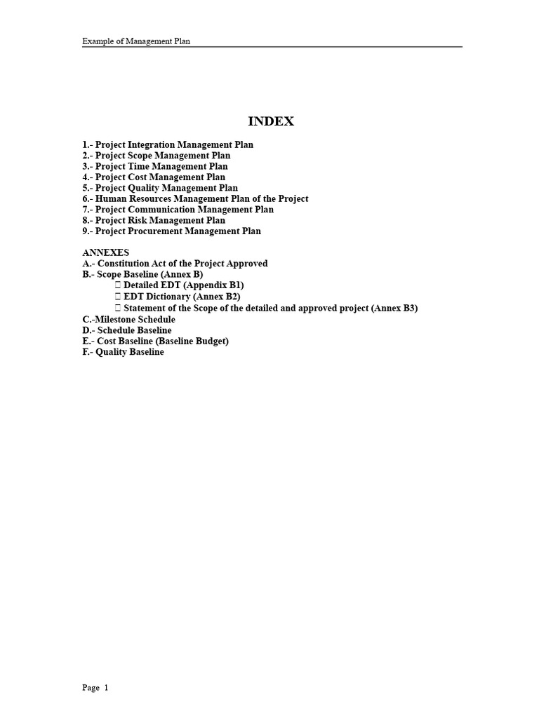 Comprehensive Project Management Plan | PDF | Project Management | Business