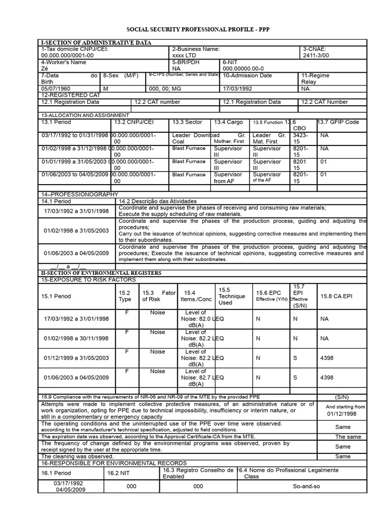 Social Security Professional Profile PPP | PDF | Safety | Occupational ...