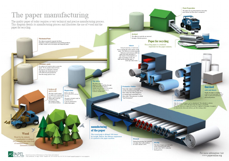 Paper Manufacturing and Recycling Process | PDF | Paper | Pulp (Paper)