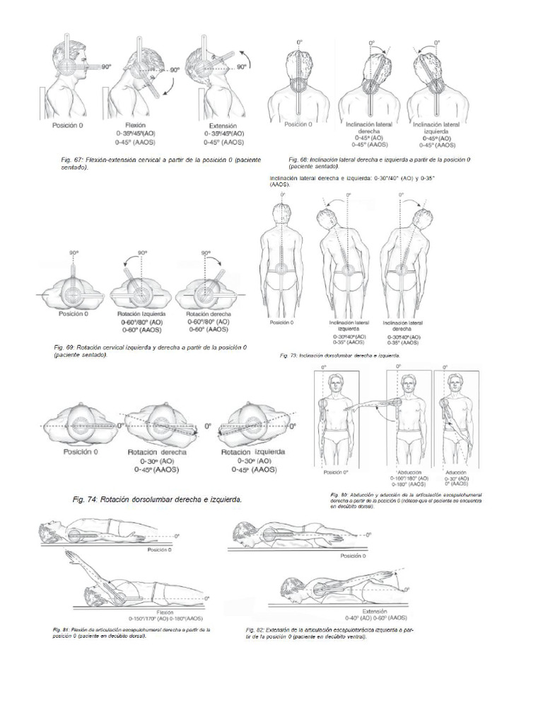 Joint Movement Ranges by AAOS Standards | PDF | Anatomical Terms Of ...