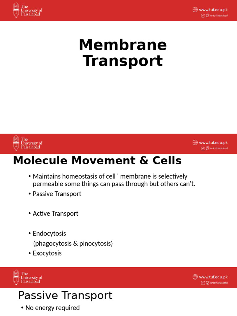 Membrane Transport | PDF | Ion Channel | Cell Biology