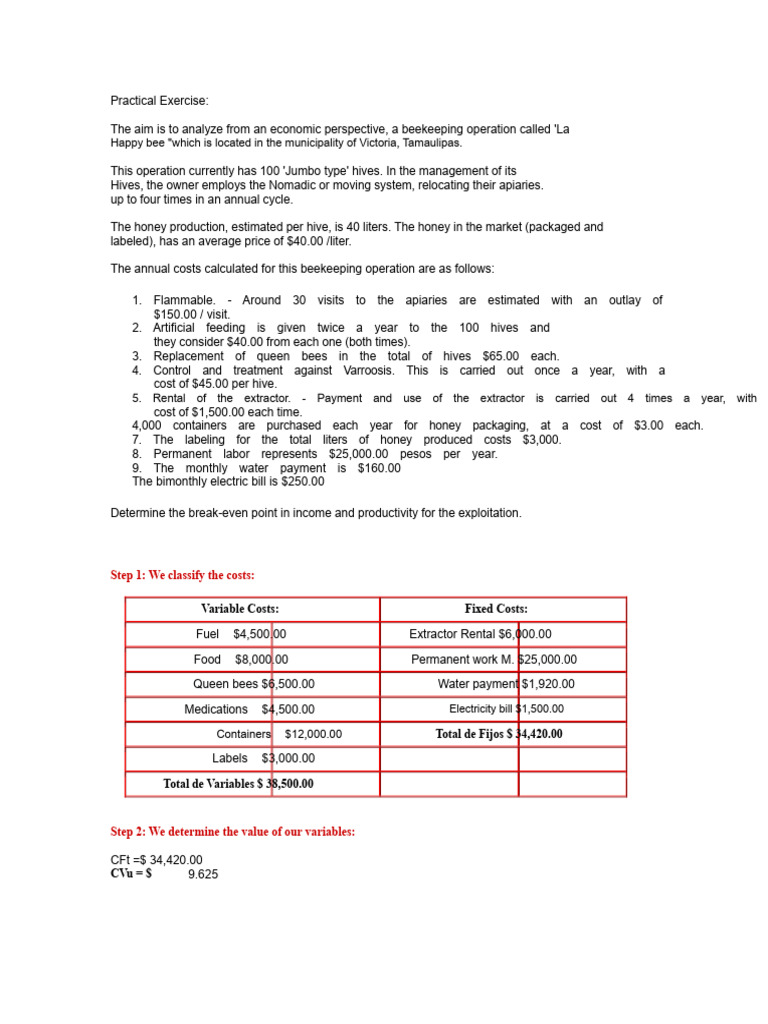 Practical Exercise | PDF | Profit (Economics) | Beehive