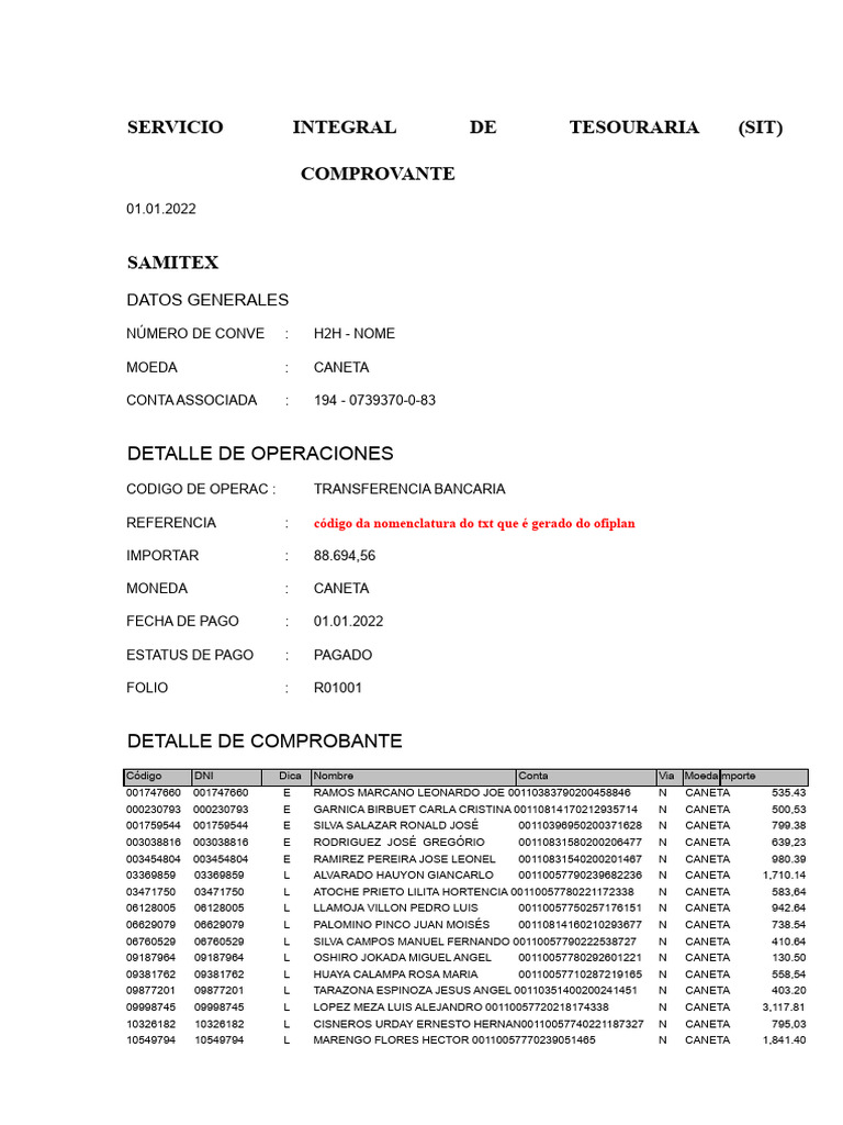 Formato SIT | PDF