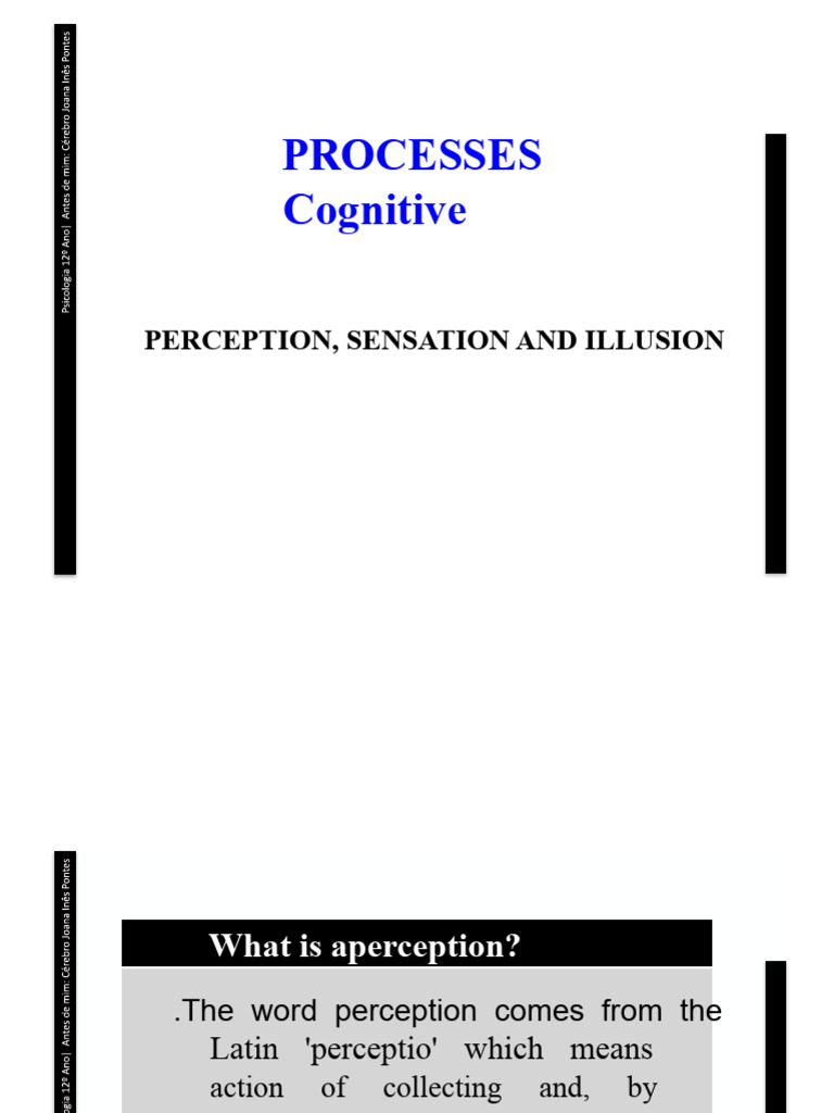 Cognitive Processes: Perception | PDF | Perception | Senses