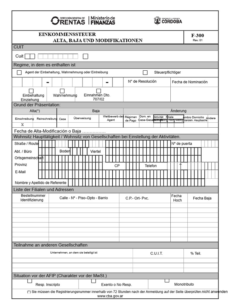 Formular F 300 Einkünfte | PDF