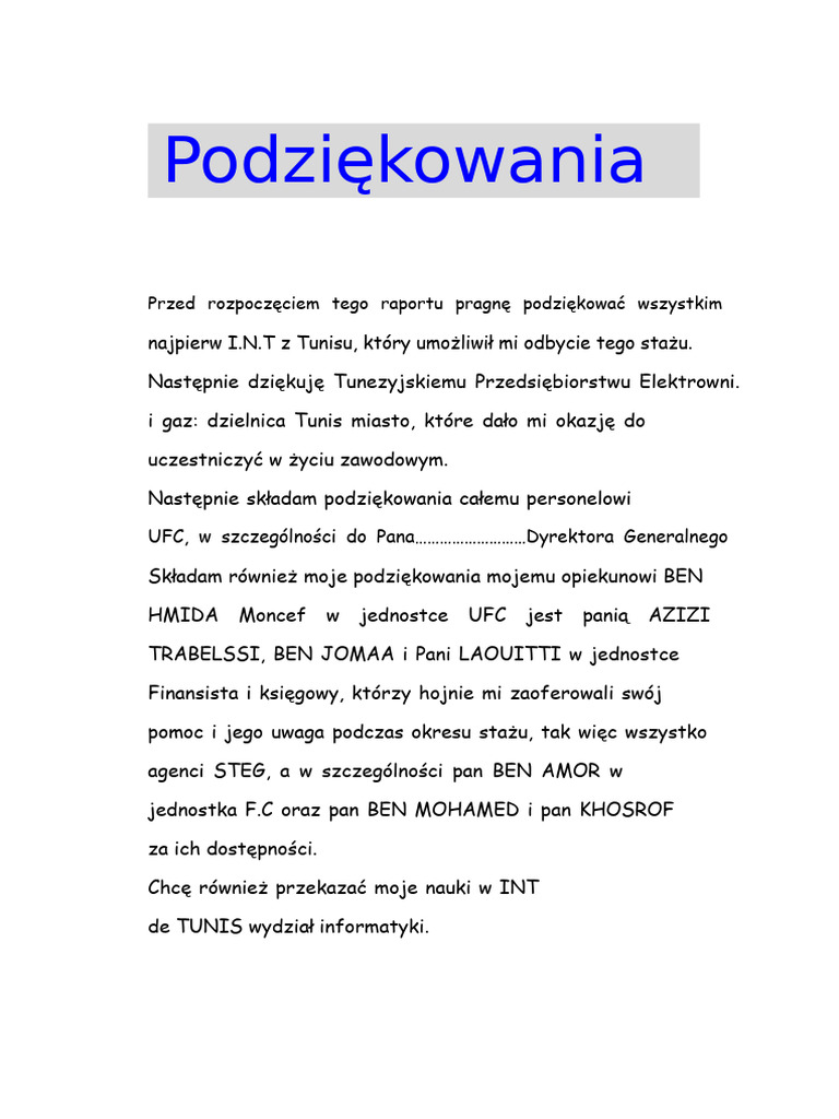 raport-z-praktyk-w-ksi-gowo-ci-steg-pdf