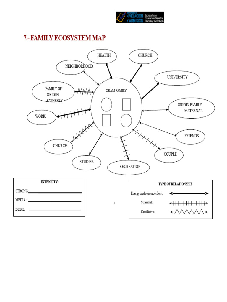 Ecomap | PDF