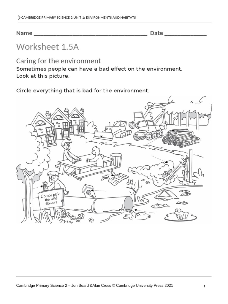 Caring for the Environment Worksheet | PDF | Habitat | Trees