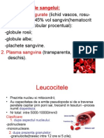 Leucocite