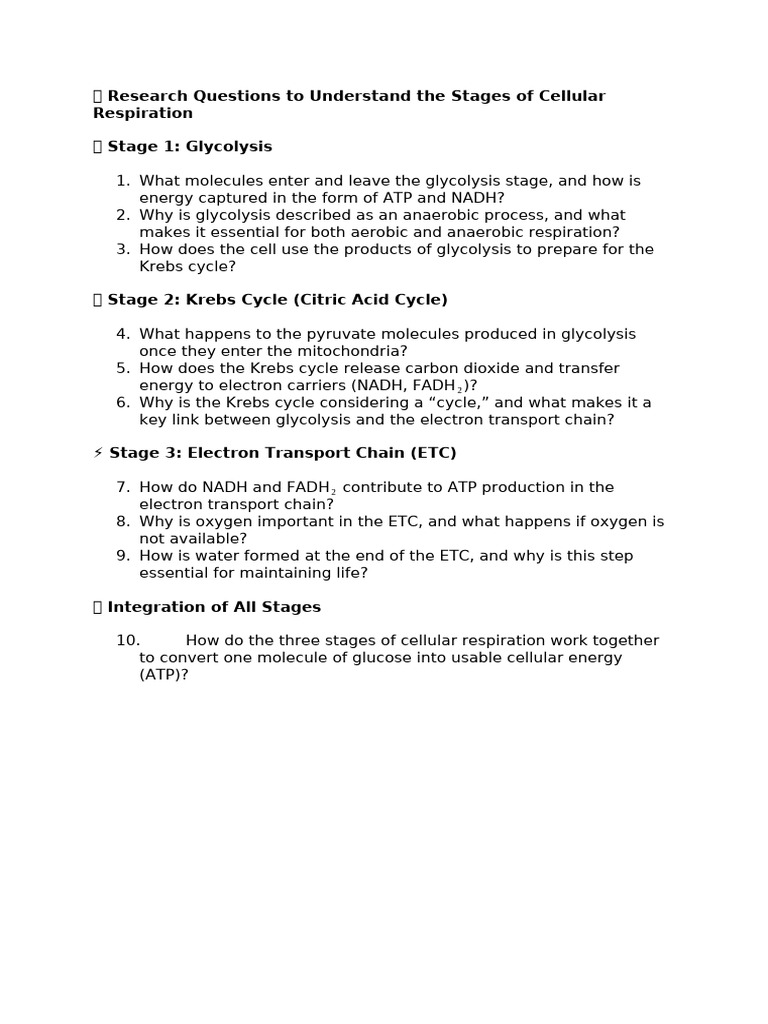 Stages of Cellular Respiration Explained | PDF