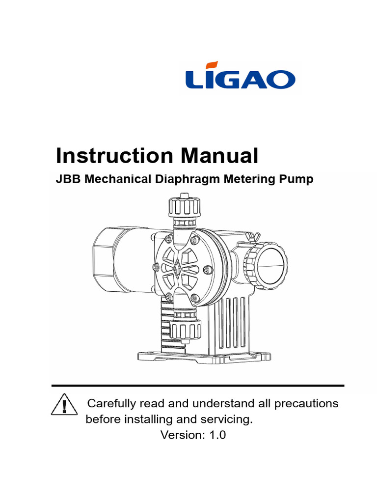 JBB Diaphragm Metering Pump Manual | PDF | Pump | Valve