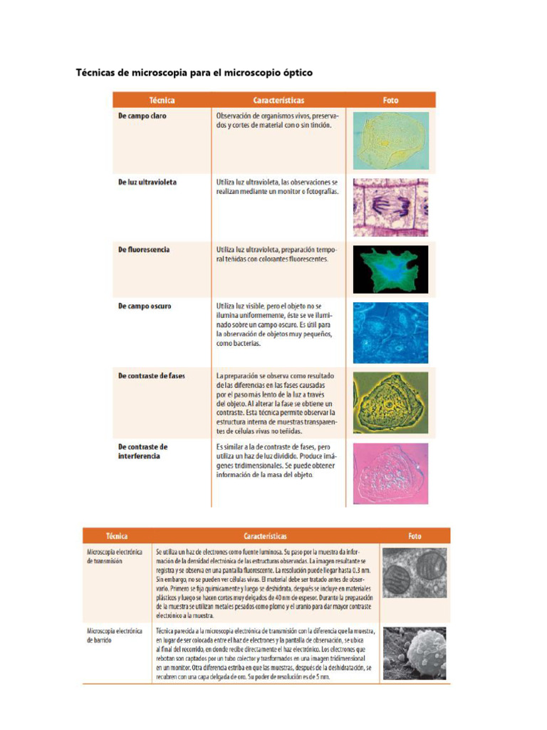 Técnicas de Microscopia para El Microscopio Óptico | PDF