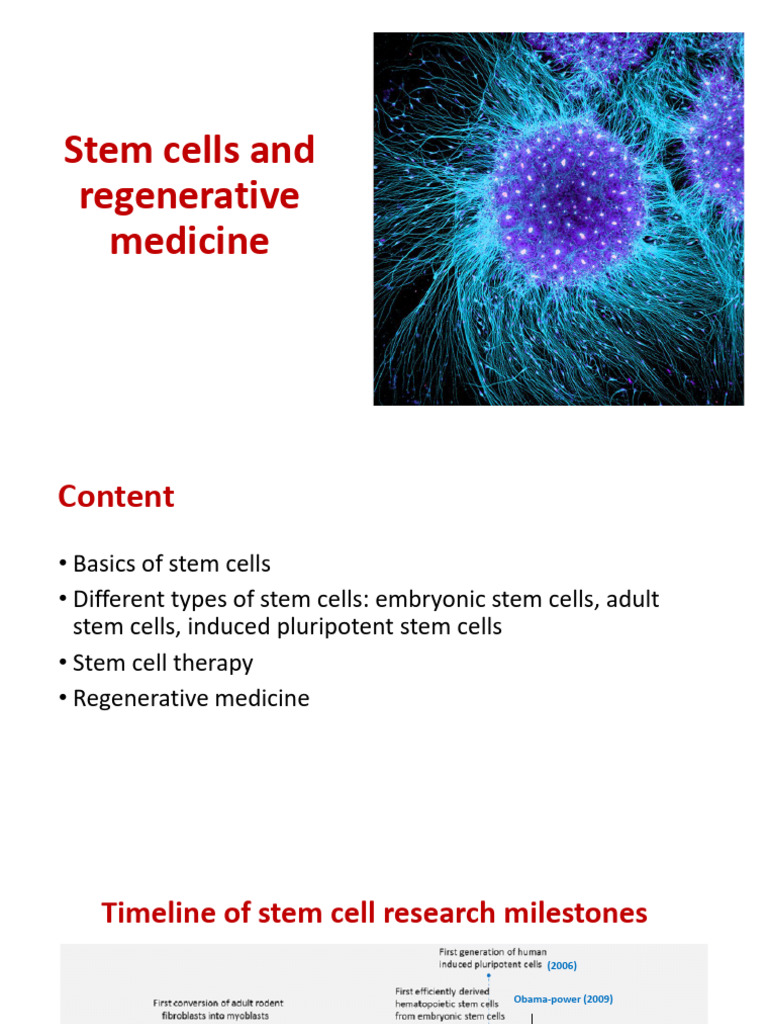 MBTE3510_Stem Cells and Regenerative Medicine | PDF | Stem Cell ...