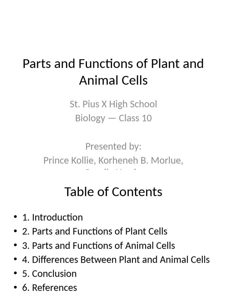 Plant and Animal Cells Presentation | PDF | Cell (Biology) | Cytoplasm