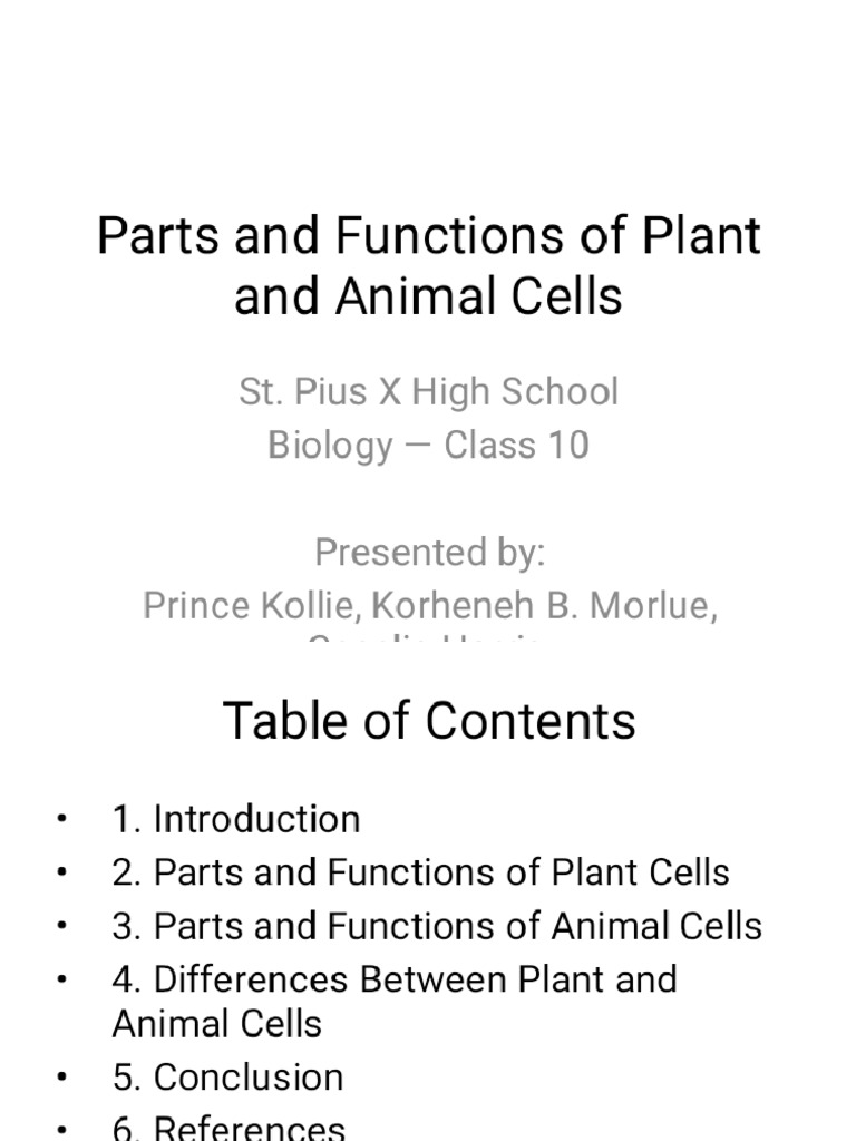 Plant and Animal Cells Presentation Phoenix | PDF