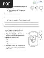 Grade 5 Science Term 1 Assessment | PDF | Circulatory System | Blood