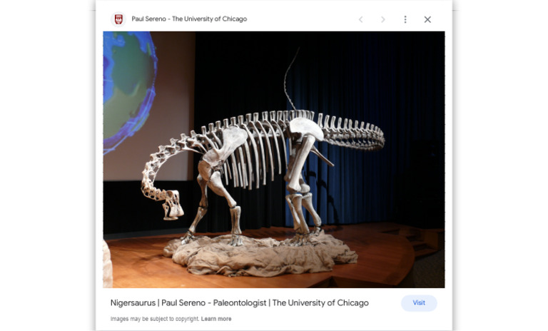 Nigersaurus Skeleton - Google Search | PDF