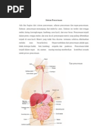 Download Makalah Sistem Pencernaan by Fauzan Hashifah Permana SN94670672 doc pdf