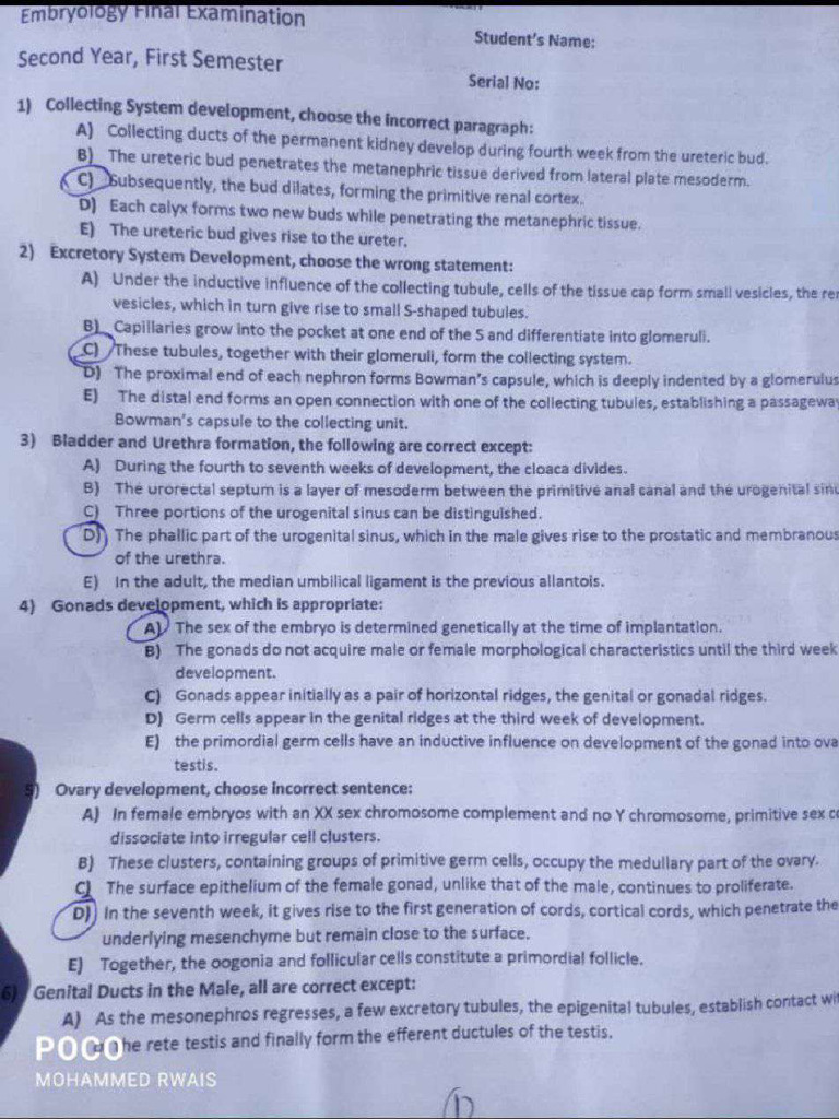 Final Exam . | PDF