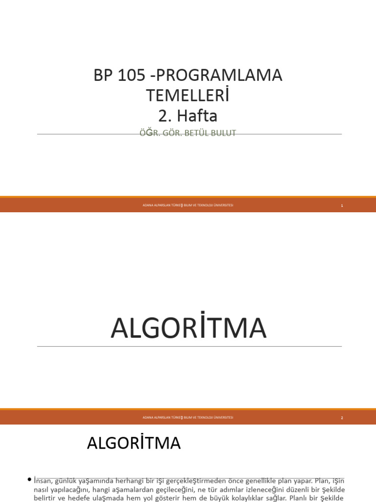 Programlama Temelleri 2.hafta | PDF