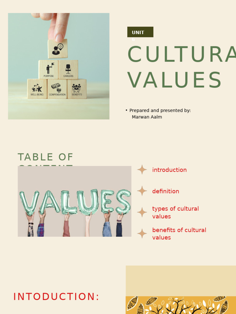 Values | PDF | Value (Ethics) | Behavioural Sciences