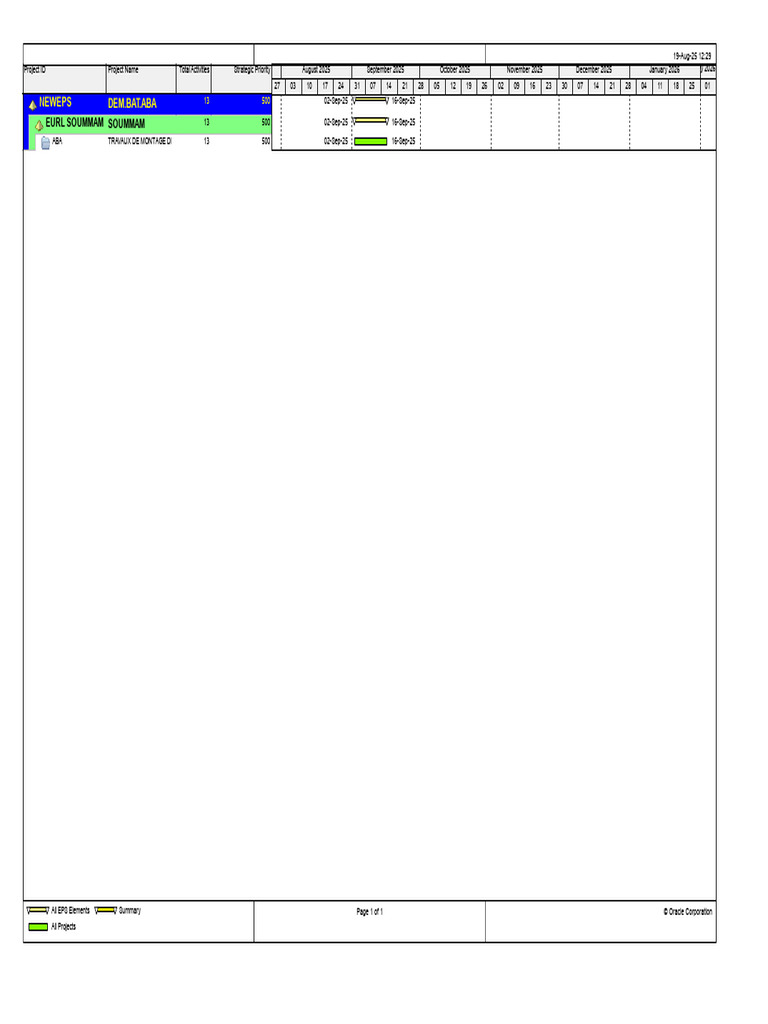 Project Overview and Timeline Summary | PDF