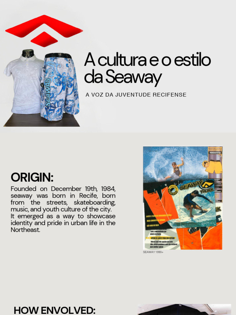 Manual de Marca e Identidade Visual Profissional Apresentação PDF | PDF