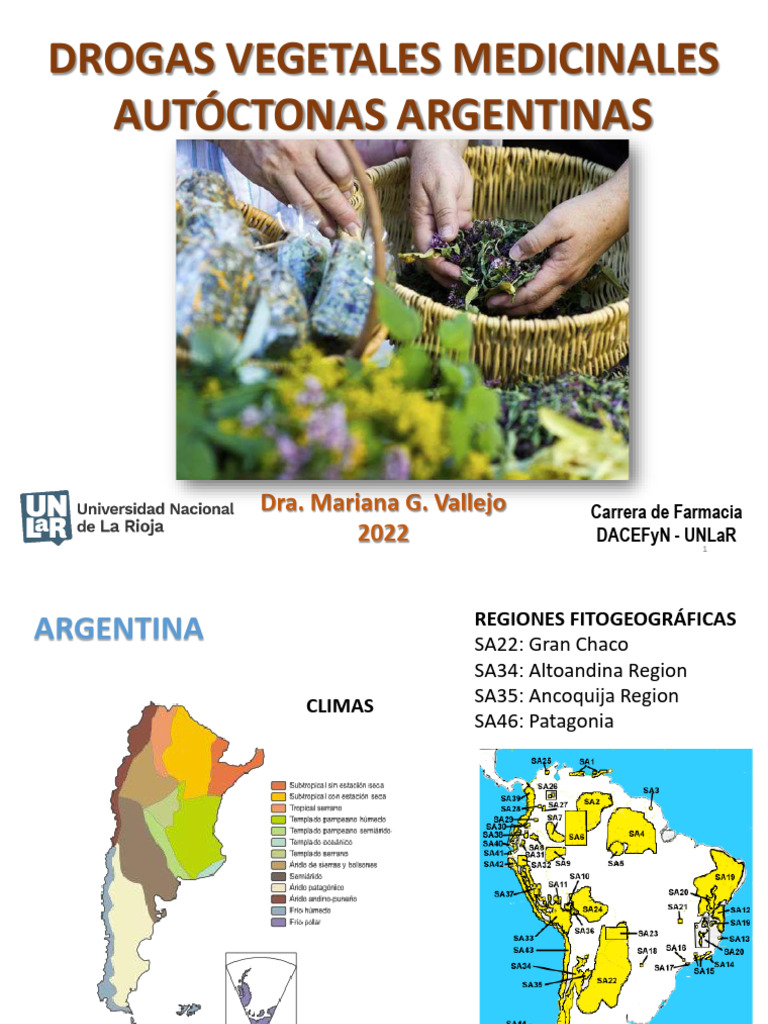 Plantas Medicinales Autóctonas de Argentina | PDF