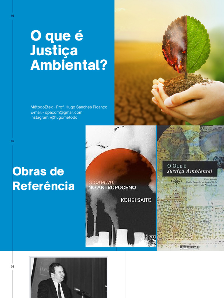 Justiça Ambiental: Conceitos e Desafios | PDF | Movimento ambientalista ...
