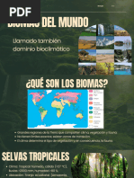 Mapa Conceptual de Biomas del Mundo | PDF