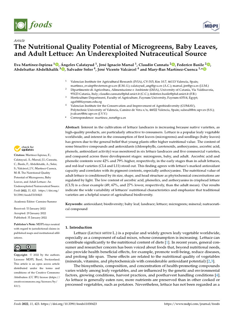 Nutritional Benefits of Microgreens and Lettuce | PDF | Lettuce ...