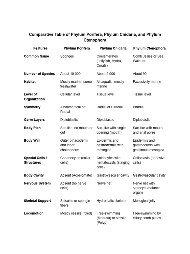 Phyla Comparison: Porifera, Cnidaria, Ctenophora | PDF | Sponge | Zoology