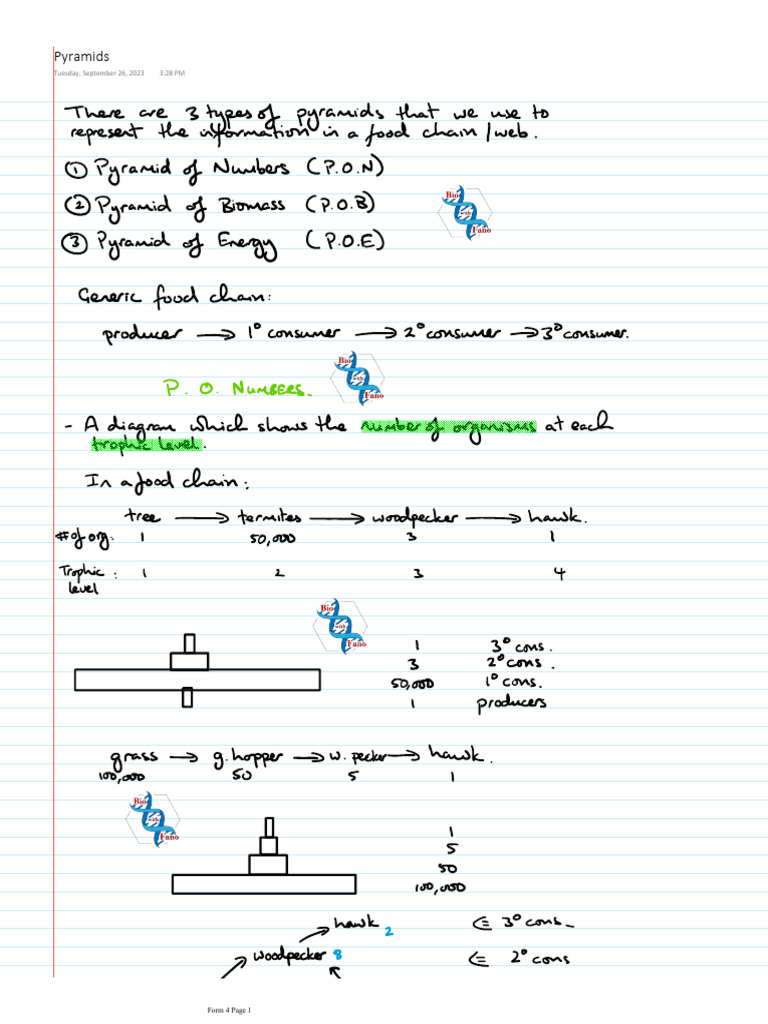 4 Pyramids | PDF