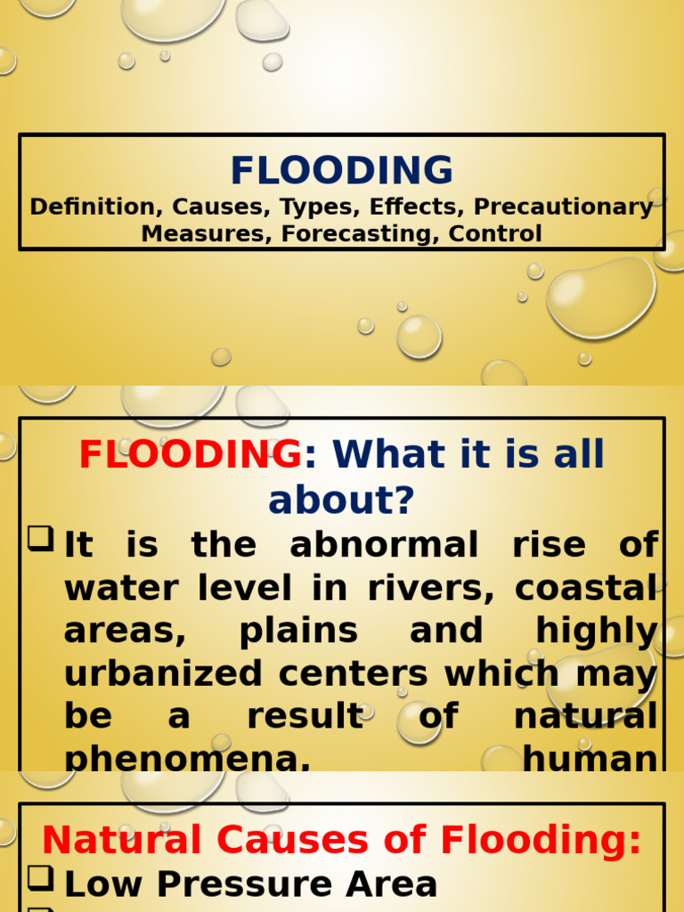 FLOODING | PDF | Flood | Estuary