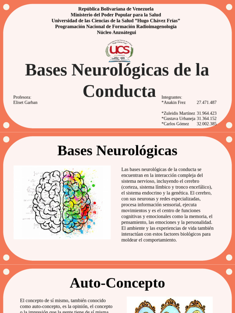Bases Neurológicas de la Conducta Humana | PDF | Las emociones ...