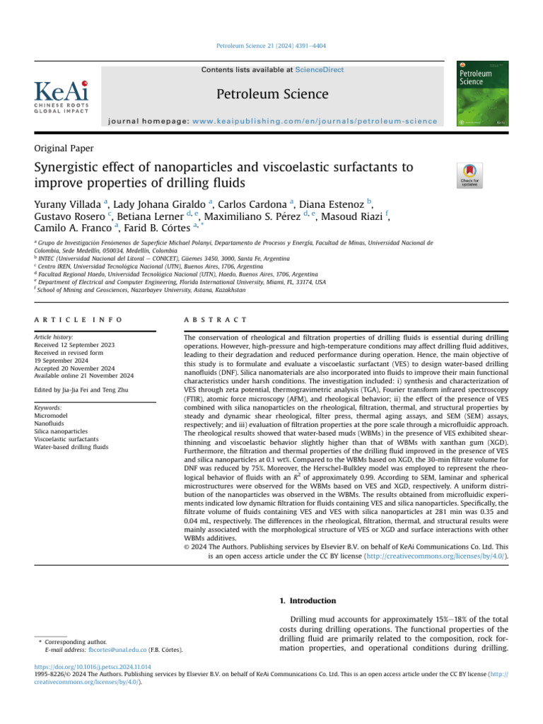 Synergistic Effect of Nanoparticles and VES To Improve Properties of DF ...