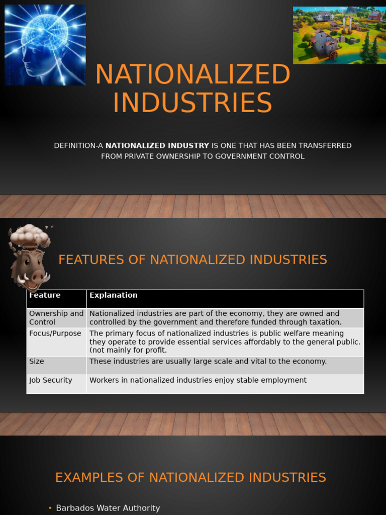 Understanding Nationalized Industries | PDF