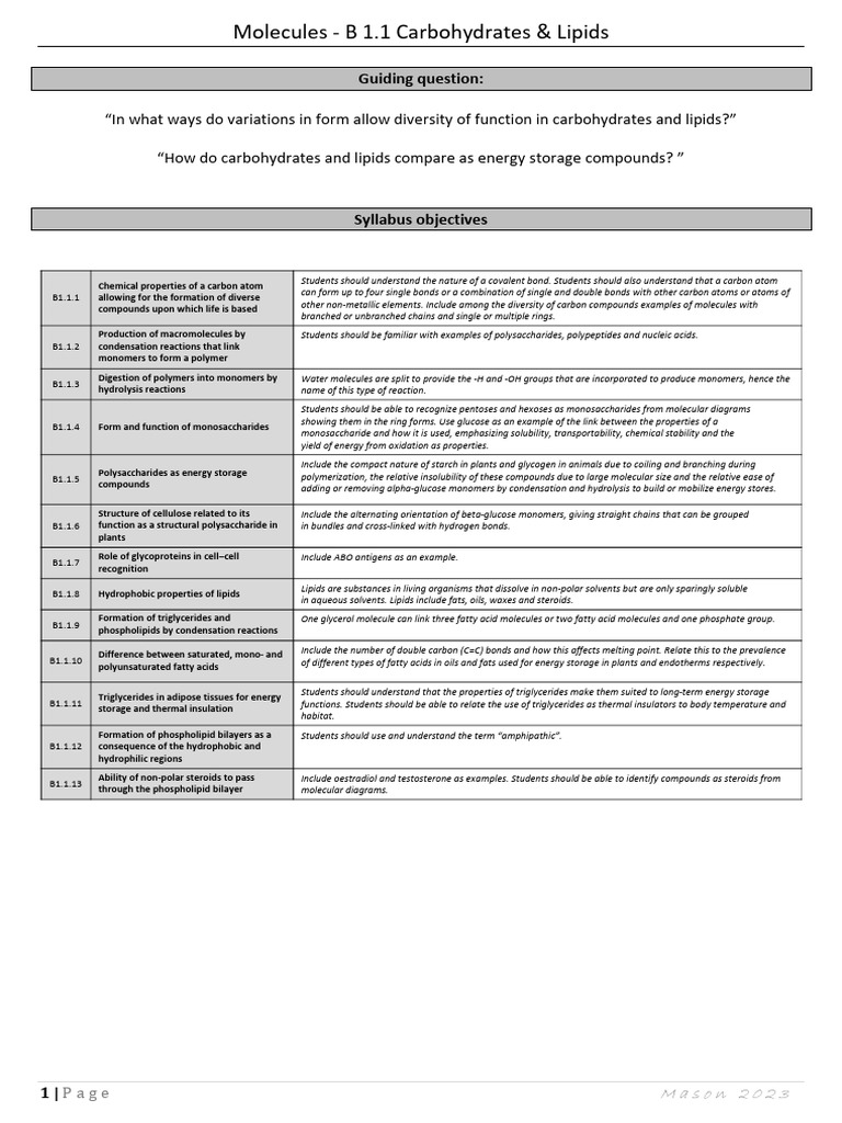 1. B 1.1 Student Notes Carbohydrates and Proteins | PDF | Triglyceride ...